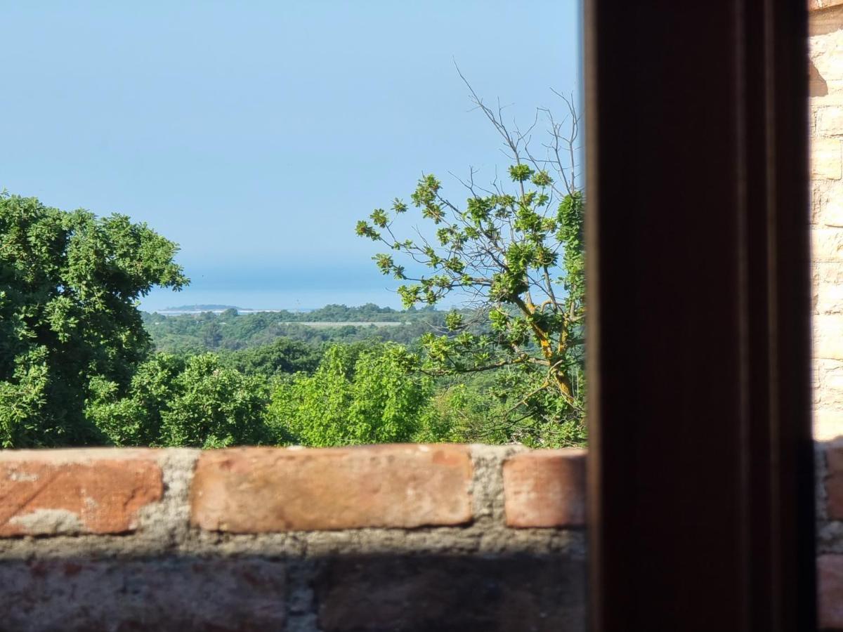 Villa Brioni With Pool By Rentistra Cabrunici エクステリア 写真